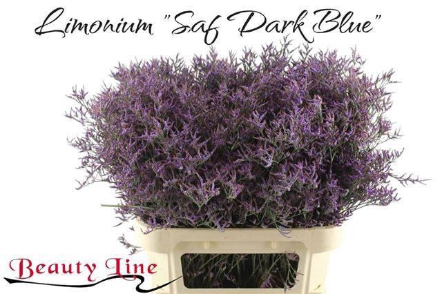 <h4>Lim Saf Dark Blue</h4>