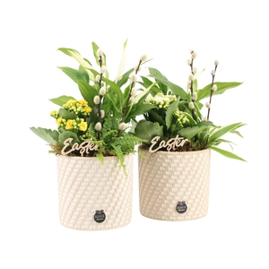 70795: Easter arrangement