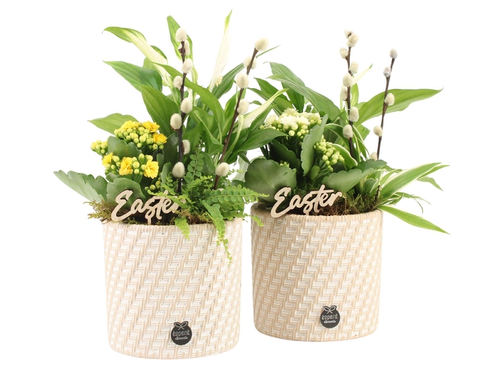 <h4>70795: Easter arrangement</h4>