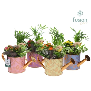 Gieter zink Small Pasen met arrangement