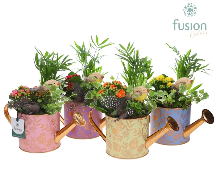 <h4>Gieter zink Small Pasen met arrangement</h4>