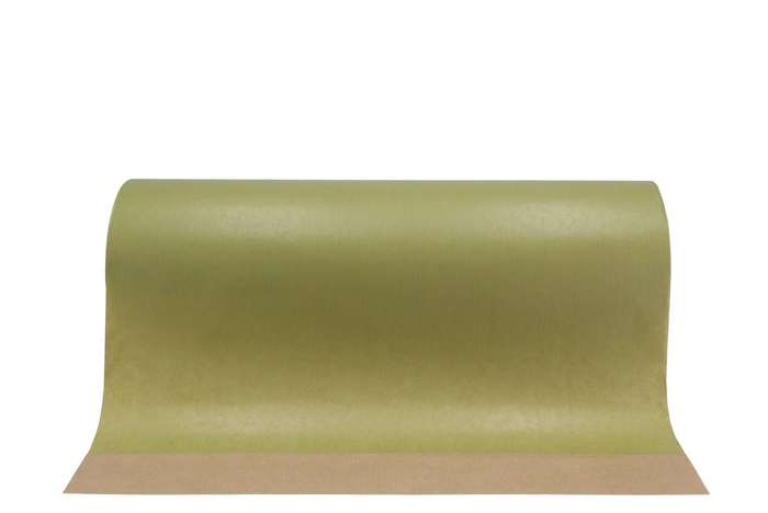 <h4>Paper On The Roll Olive Green 50cm A 10 Kilo</h4>