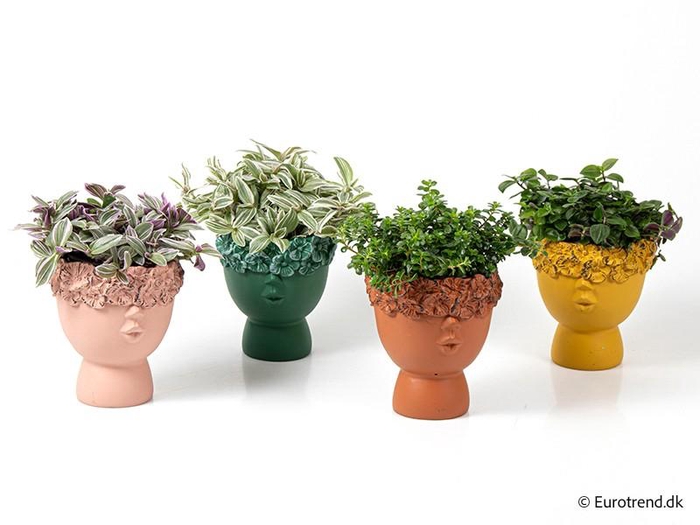 <h4>E 4201 E 2195 blomstkrans ny</h4>