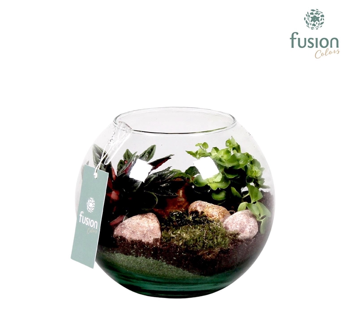 <h4>Najaar glazen vissenkom met Groen plantjes D19 H16</h4>