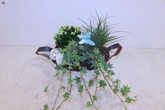 <h4>ARR TUINPLANTEN</h4>