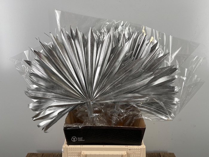 <h4>DROOGBL BEWERKT H%</h4>