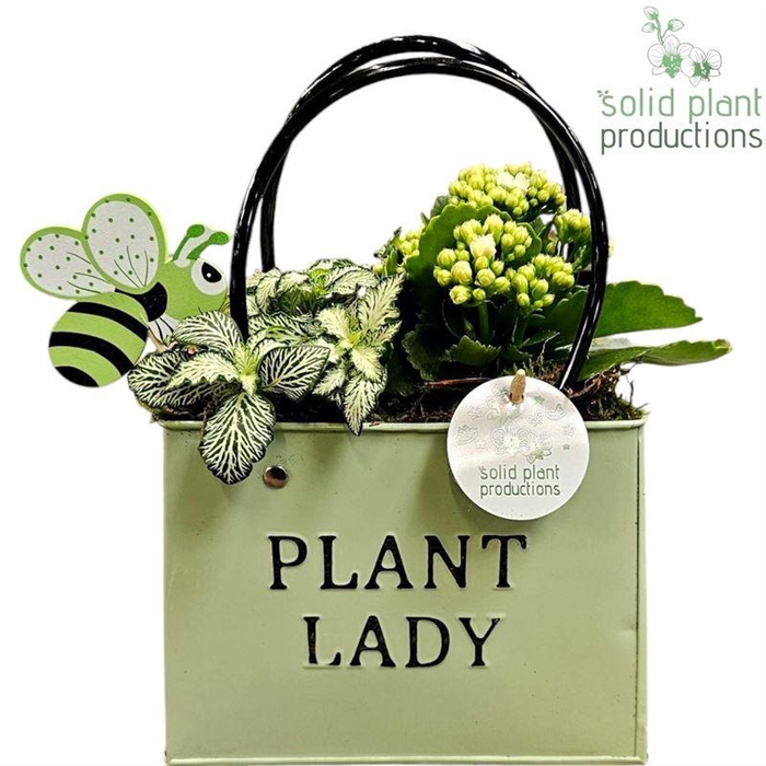 <h4>0. ZKE001 GREEN BAG</h4>