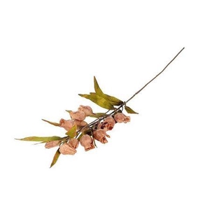 Stem Bellflower L105