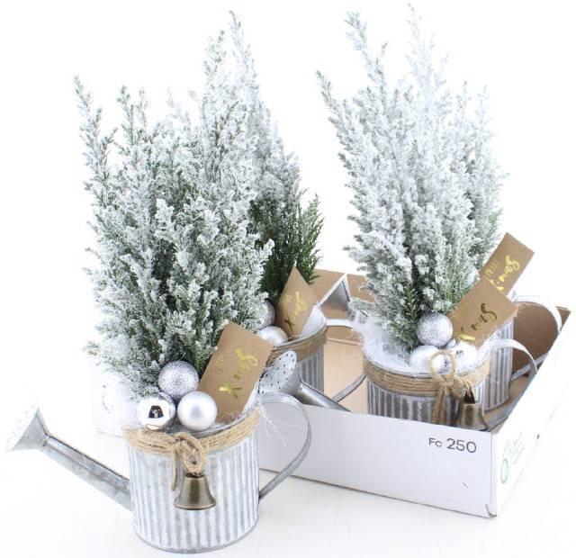 <h4>CHAM L ELLWOODII</h4>