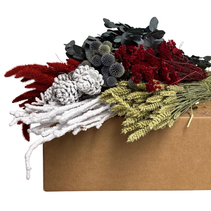 <h4>Droogbloem DIY box assorti 60-75cm</h4>