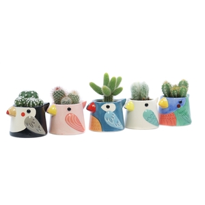 Cactus 5,5 cm in tanager bird planter