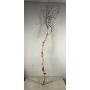 Manzanita Sandblasted 210cm