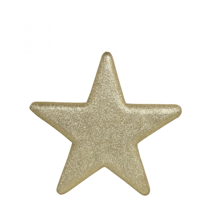 <h4>Kerst Deco ster sparkling d25cm</h4>