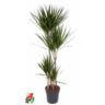<h4>90-60-30-15 4 stek/pot</h4>