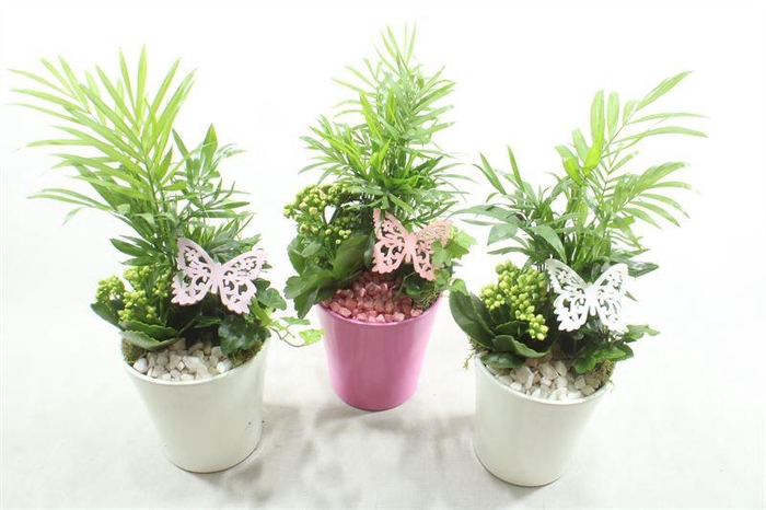 <h4>1250 POT MIX INDOOR</h4>