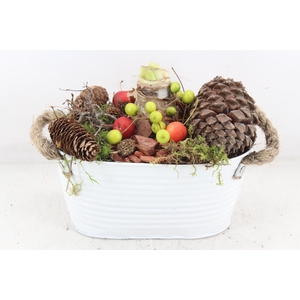 arr4 Amaryllis MB - Zink ovaal wit oor x6