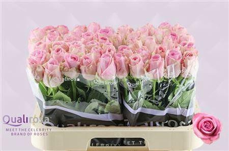 <h4>R Gr Heidi!</h4>