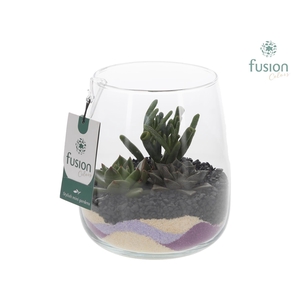 Glazen vaas Alzada met Succullenten arrangement