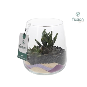 Glazen vaas Alzada met Succullenten arrangement