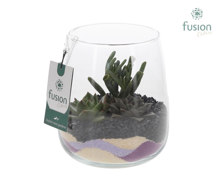 <h4>Glazen vaas Alzada met Succullenten arrangement</h4>
