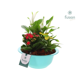 Zinken schaal met Arrangement