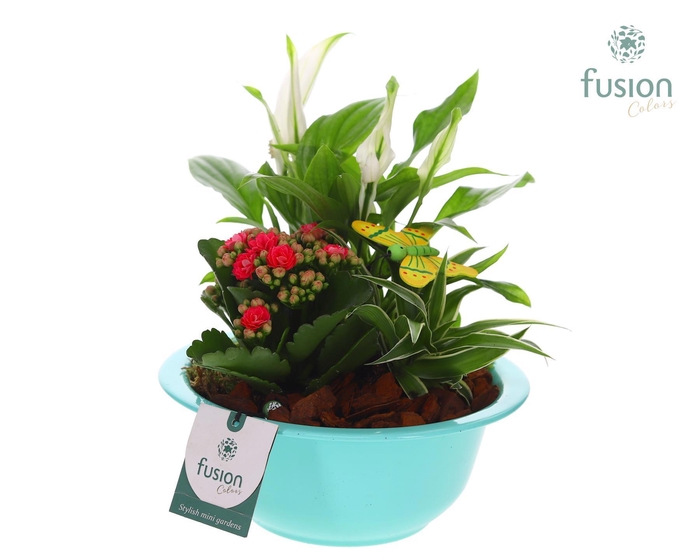 <h4>Zinken schaal met Arrangement</h4>