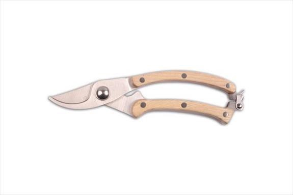 <h4>Future snoeischaar roestvrijstaal m</h4>