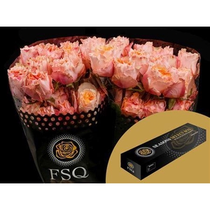 R Gr Peach Campanella Box