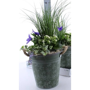 ARR TUINPLANTEN