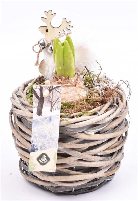 <h4>Wilg mand grijs 12cm</h4>