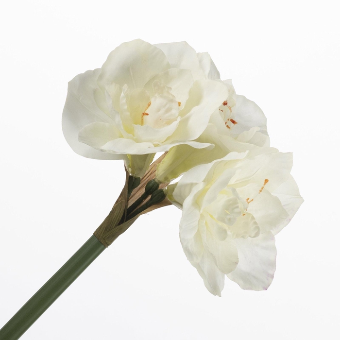 <h4>Amaryllis White FL440389WHI</h4>