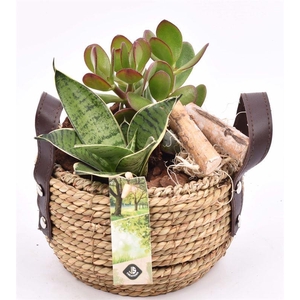 Touwmand met leer handv.16-18cm