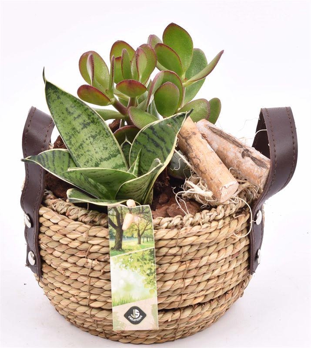 <h4>Touwmand met leer handv.16-18cm</h4>