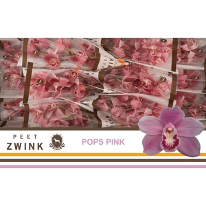 CYMB T PRETT IN PINK