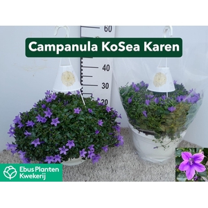 CAMP PORTENSCHLAGIAN