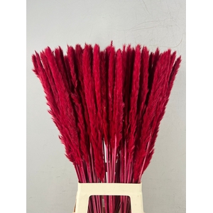DF Pampas Silvy Bs 10pc Red