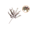 Silk Eucalyptus Purple Stem 51cm
