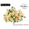 R TR ROYAL BLUSH PEARL