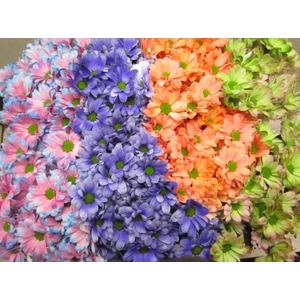 Chr T Bacardi Mix 2 Kleurig