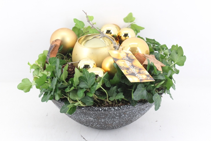 arr4 Kerst MB485 - Ker. schaal ilse