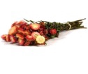 Helichrysum nat.salmon