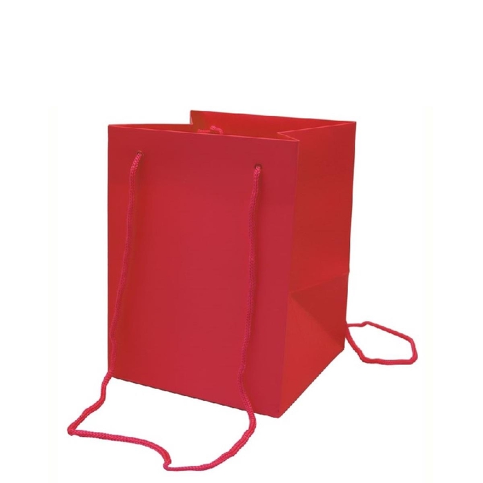 <h4>Tassen Olympic 25*18*18cm</h4>