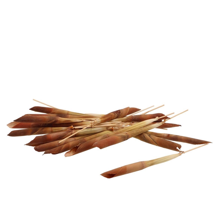 <h4>Pick Nature Asegaai P/50</h4>