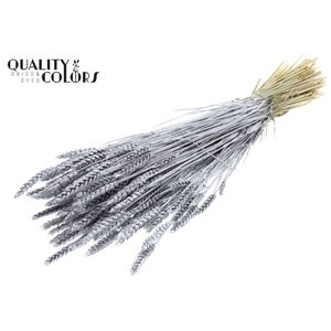 Triticum per bunch Silver + Glitter