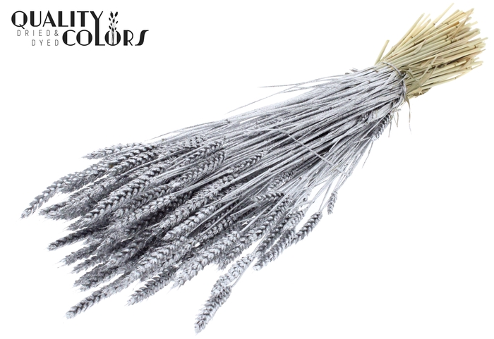 Triticum per bunch Silver + Glitter