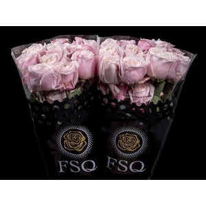 R Gr Gar Yuyi Gardens