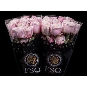 R Gr Gar Yuyi Gardens