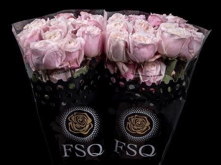 <h4>R Gr Gar Yuyi Gardens</h4>