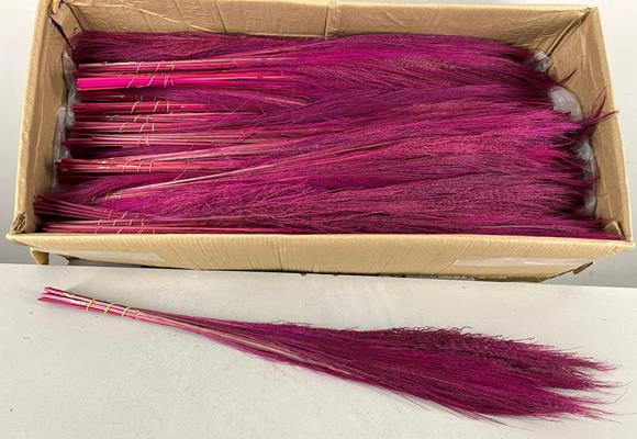 Df Broom Grass 50gr Pink