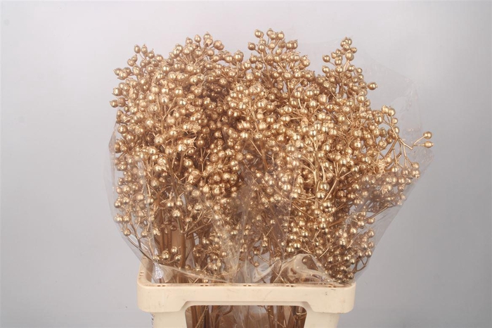 <h4>ROSA KLB ANTIEK GOLD H%*</h4>